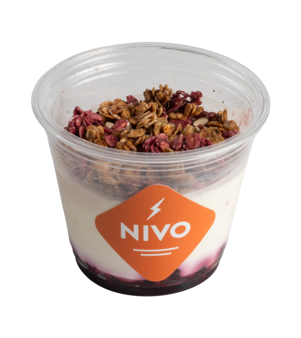 Blåbärsyoghurt